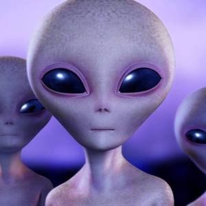 Meet your Posher, Shane